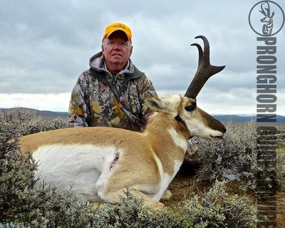 pronghorn hunting tips